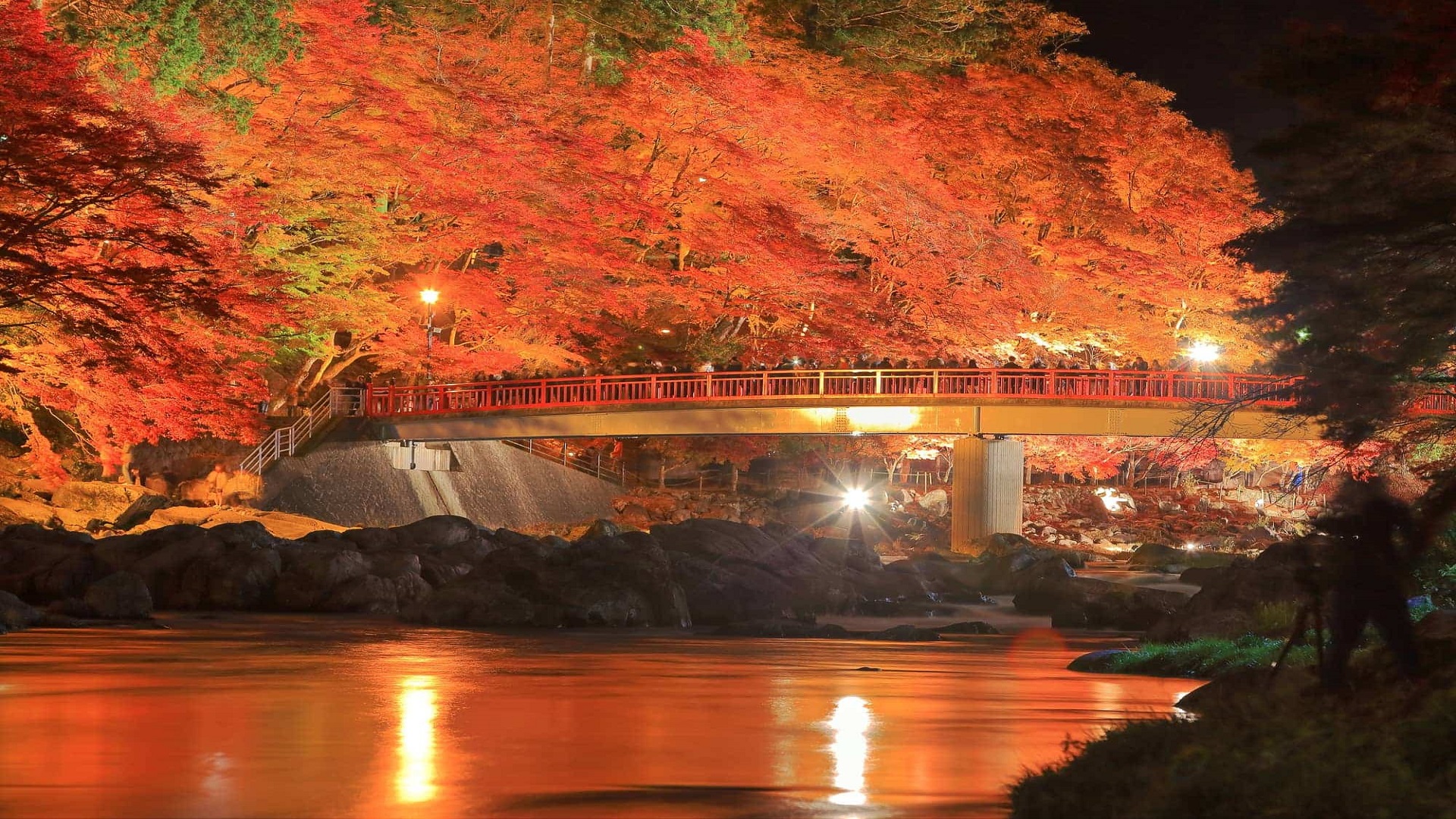 product-7d/5n-rotama-autumn-japan-golden-route-&-nara-banner