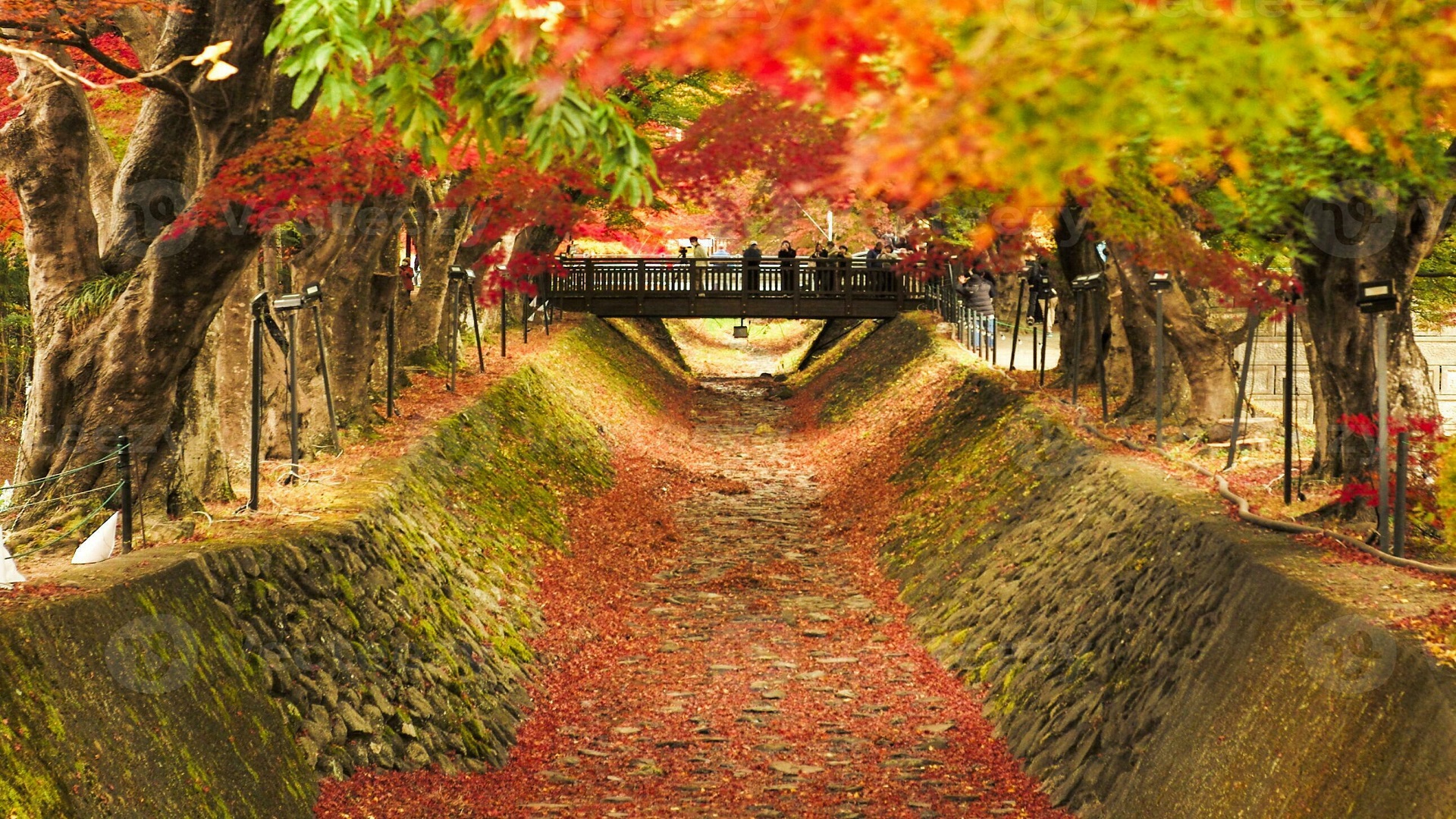 product-7d/5n-rotama-autumn-japan-shirakawago-&-shikizakura-banner