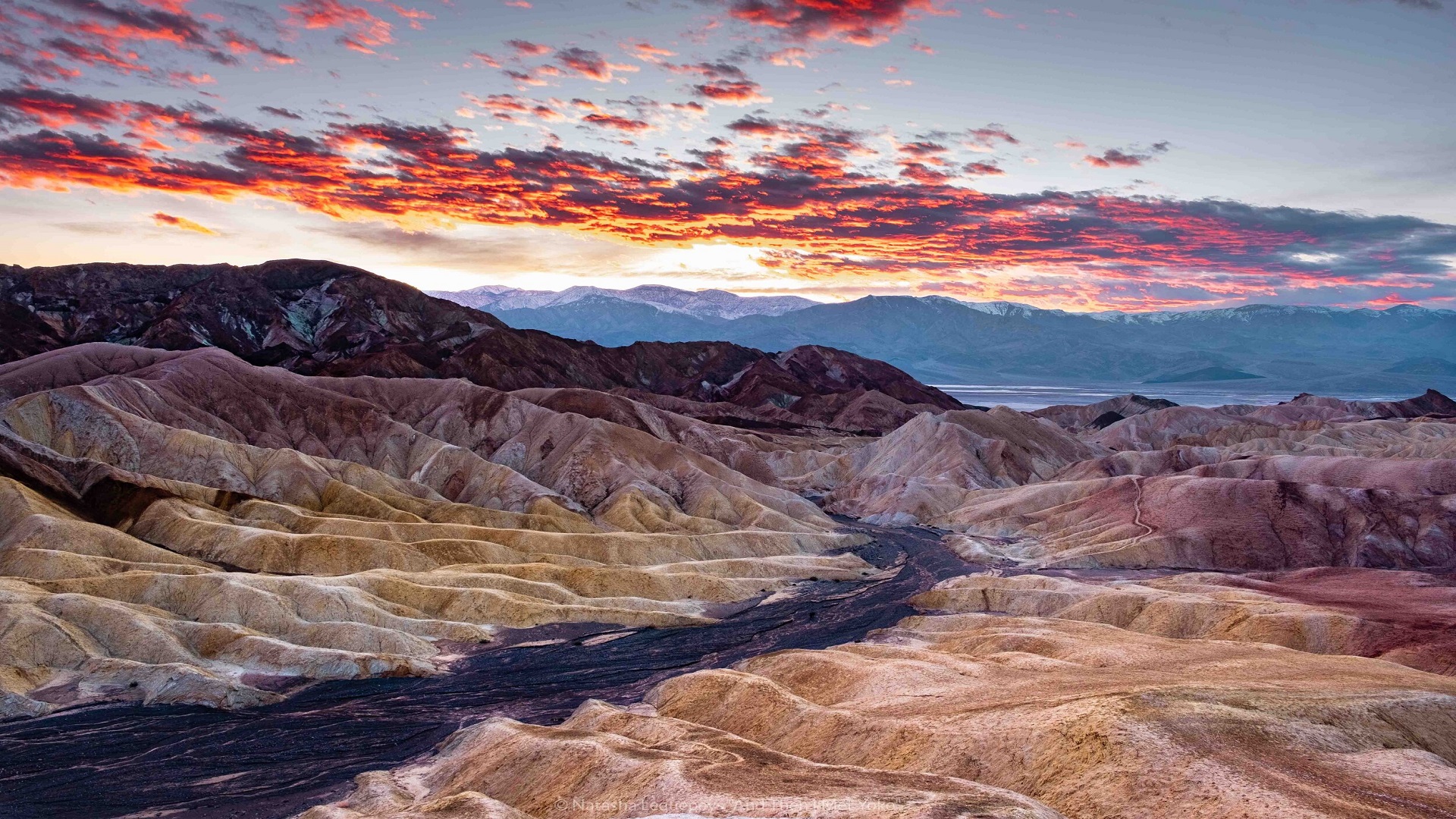 product-11d/9n-wita-usa-west-coast,-death-valley-&-whale-watching-tour--banner