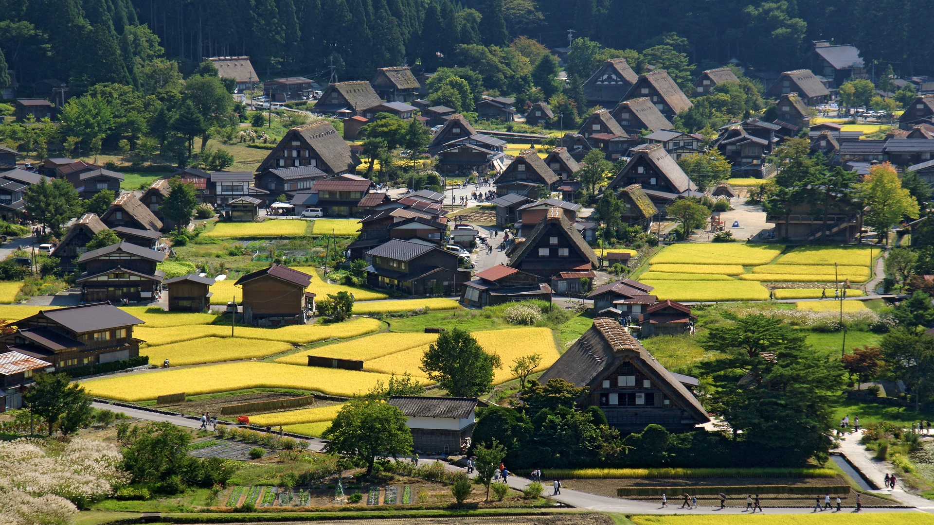 product-7d/5n-rotama-winter-japan-ski-resort-&-shirakawago-dep-8-jan-25-banner